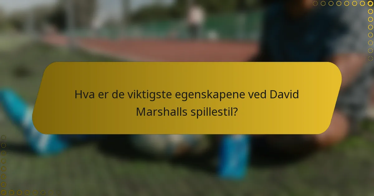 Hva er de viktigste egenskapene ved David Marshalls spillestil?